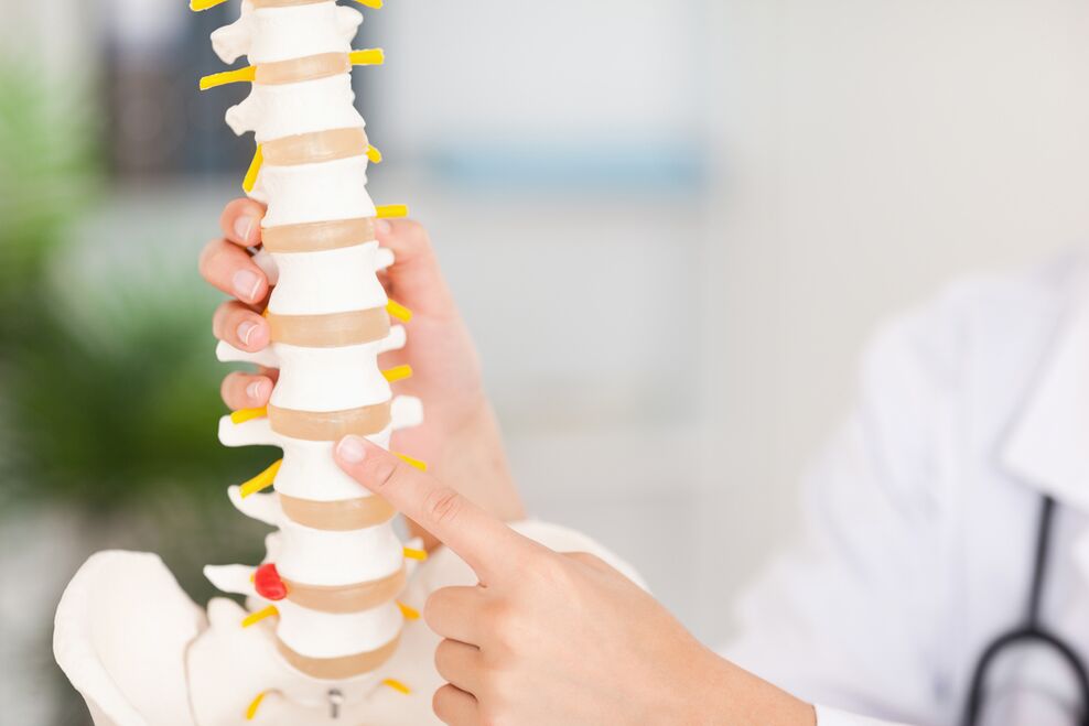 Modelul coloanei vertebrale și osteocondroza toracică